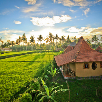 Bali Detox Retreat Ubud retreat guru find authentic teachers retreats centers Bali Detox Retreat Ubud retreat guru find authentic teachers retreats centers